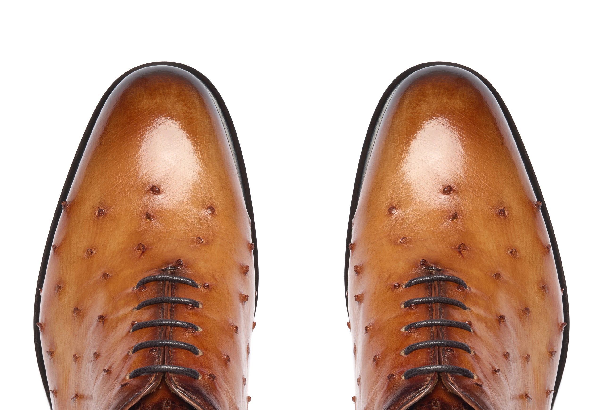 Struzzo Cognac#Sfumatura_Struzzo Cognac